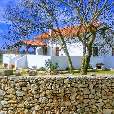House Soni - 800 M From The Sea Villa โรวีน ภายนอก รูปภาพ