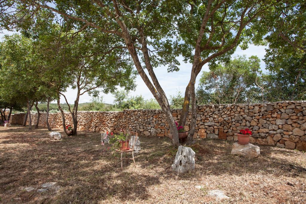 House Soni - 800 M From The Sea Villa โรวีน ภายนอก รูปภาพ