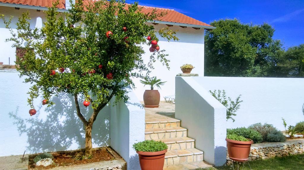 House Soni - 800 M From The Sea Villa โรวีน ภายนอก รูปภาพ